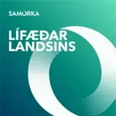 Orkan í efnahagsljósi