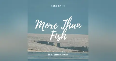 More Than Fish
