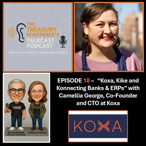 Episode 18 - "Koxa, Kíke and Konnecting Banks & ERPs" with Camellia George (Koxa)