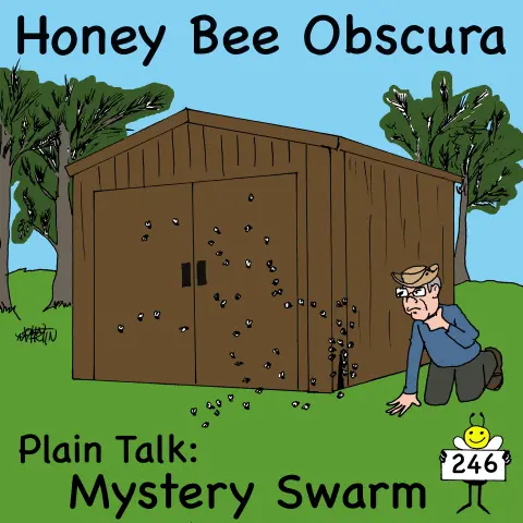 Plain Talk: Mystery Swarm (246)