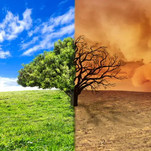 Climate Change