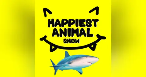 Sharks (with Ocean Scientist David Shiffman)