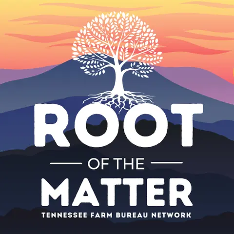 Inside the Midterms: Early Voting, Redistricting & What’s on Tennessee’s Ballot | ROTM