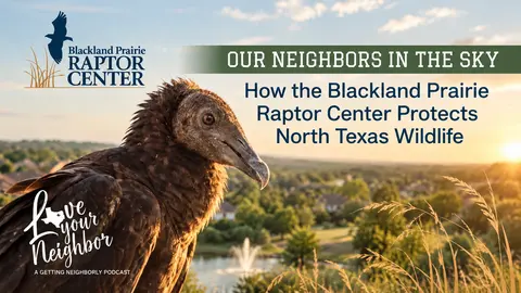 Nature in Your Backyard: Simple Ways to Support Local Raptors and Wildlife