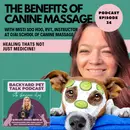 The Benefits of Canine Massage with Misti Soo Hoo, RVT