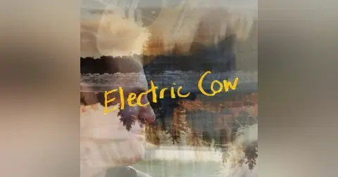 Electric Cow
