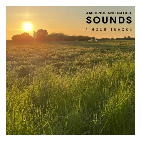 Ambience: Dawn chorus on Danish island in late May (1 hour)