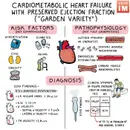 #153 HFpEF: 5 Pearls Segment