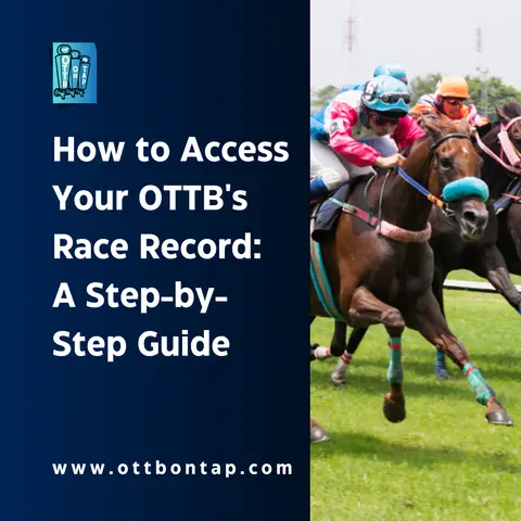 How to Access Your OTTB's Race Record: A Step-by-Step Guide