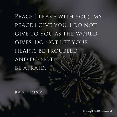 Peace Above and Beyond