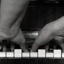 Locked Hands, Diminished Voicings