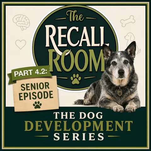 Senior Dogs: The Wisdom of a Life Well Loved