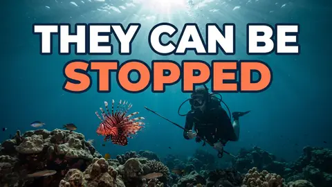 The Pollution That Breeds: How the Great Lakes Stopped Invaders