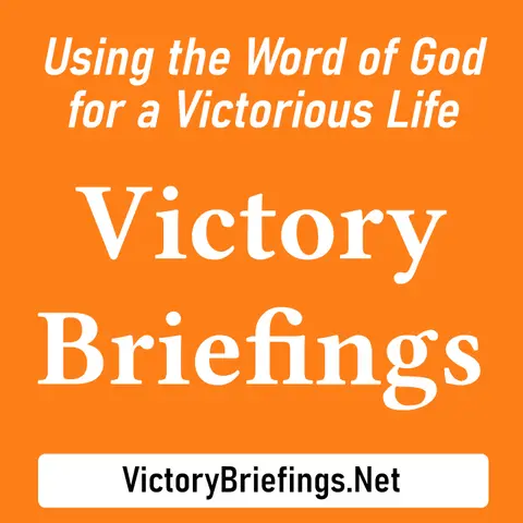 VB208 Mind Set