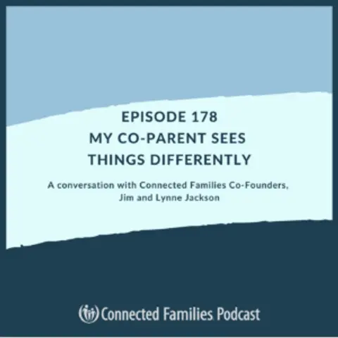 My Co-Parent Sees Things Differently