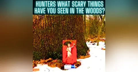 Hunters, What Scary Things Have You Seen In The Woods?