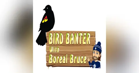 Marsh Updates, and Banding Season Wrap Up!
