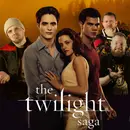 The Twilight Saga | Breaking Dawn Part 1 (2011)