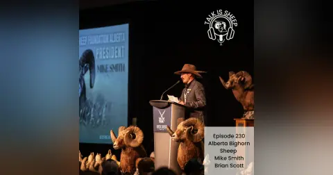 Bighorns in Alberta with Mike Smith and Brian Scott