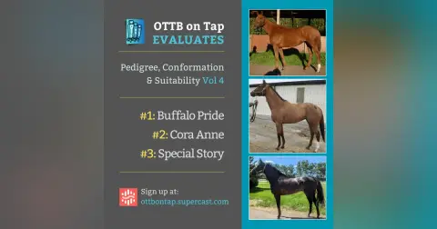 Sneak Peek: OTTB on Tap Evaluates Vol. 4: From Lightly Raced to Warhorses—Exploring Pedigree & Potential