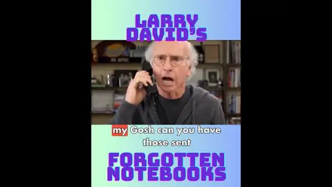 LARRY DAVID'S NOTEBOOKS LEFT BEHIND