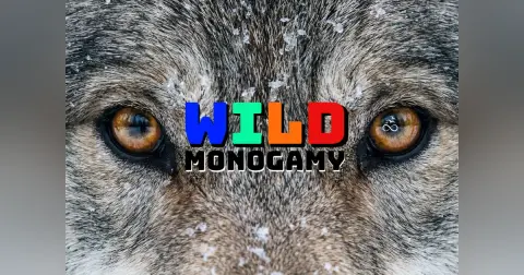 WILD MONOGAMY
