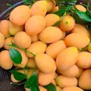 When life hands you Lemons; We are who we shall become; We are GROW