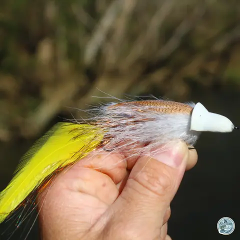 S6, Ep 32: East Tennessee Fishing Report with Ellis Ward