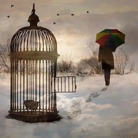 Your Cage is Open