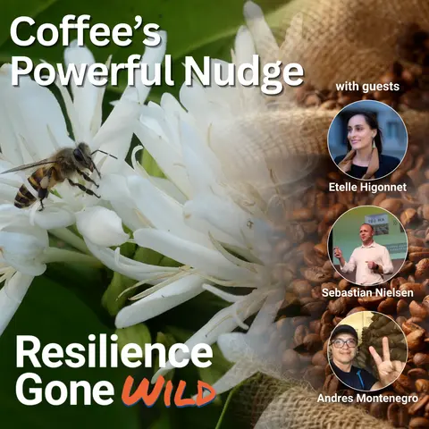 Coffee’s Powerful Nudge: Caffeine, Crisis, and the Regenerative Solution