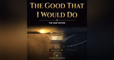 The Good That I Would Do