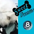 Dog Barking? Soothe Your Pet Now with Calming White Noise 8 Hours | Dog Sleep Sounds