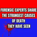 Forensic Experts Share the Strangest Causes of Death They Have Seen