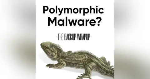 How Polymorphic Malware Evades Detection — And What to Do About It