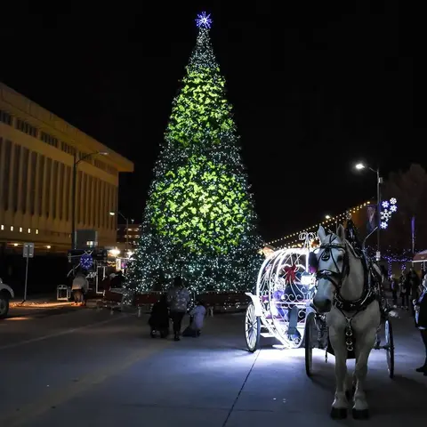 You don’t need snow to have a winter wonderland!