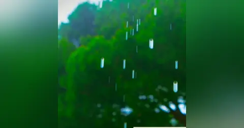 12 Hours Relaxing Summer Rain Sounds for Sleep & Stress Relief