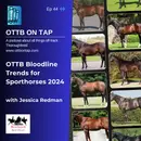 Ep 44: OTTB Bloodline Trends for Sporthorses 2024 with Jessica Redman