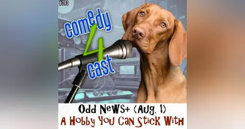 A Hobby You Can Stick With