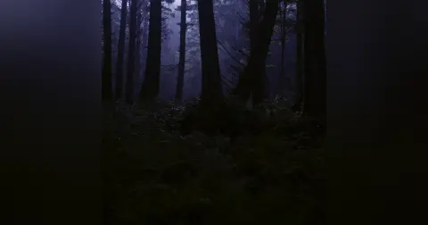 Horror Short Story: THE LABYRINTH