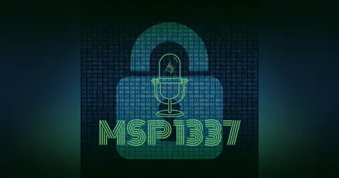 Vulnerabilities and Exploits