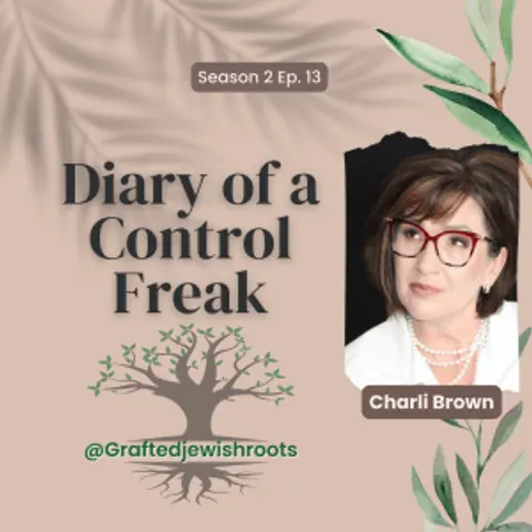 Diary of a Control Freak