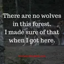 There Are No Wolves in this Forest