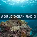 The Ocean Makes Earth Habitable