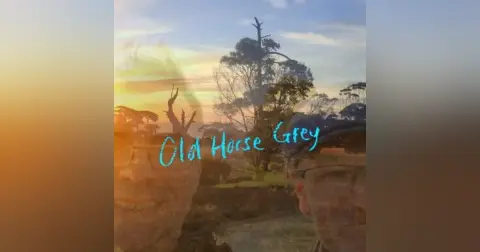 Old Horse Grey
