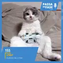 PdeFaseCast 155 | Stray: Será que realmente vale a pena jogar?