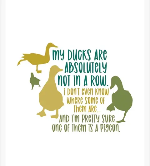 Get Your Ducks in a Row (or Your Crap in Gear)