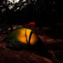 El Campamento Historias De Terror - REDE