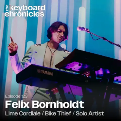 Felix Bornholdt, Lime Cordiale / Bike Thief / Solo Artist