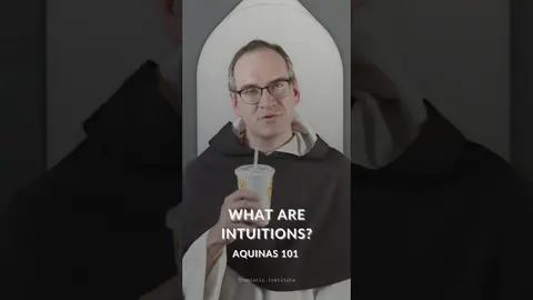 What Are Intuitions?