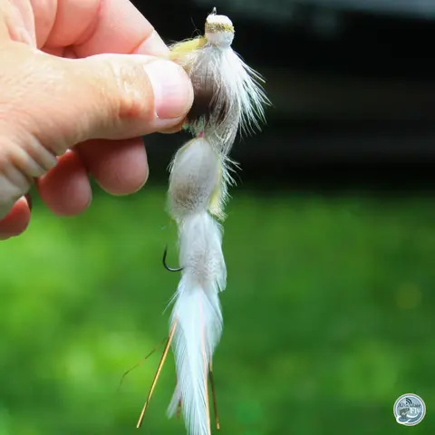 S6, Ep 52: Tailwater Tactics: Ellis Ward on Navigating Sulphur Hatches and Stained Waters
